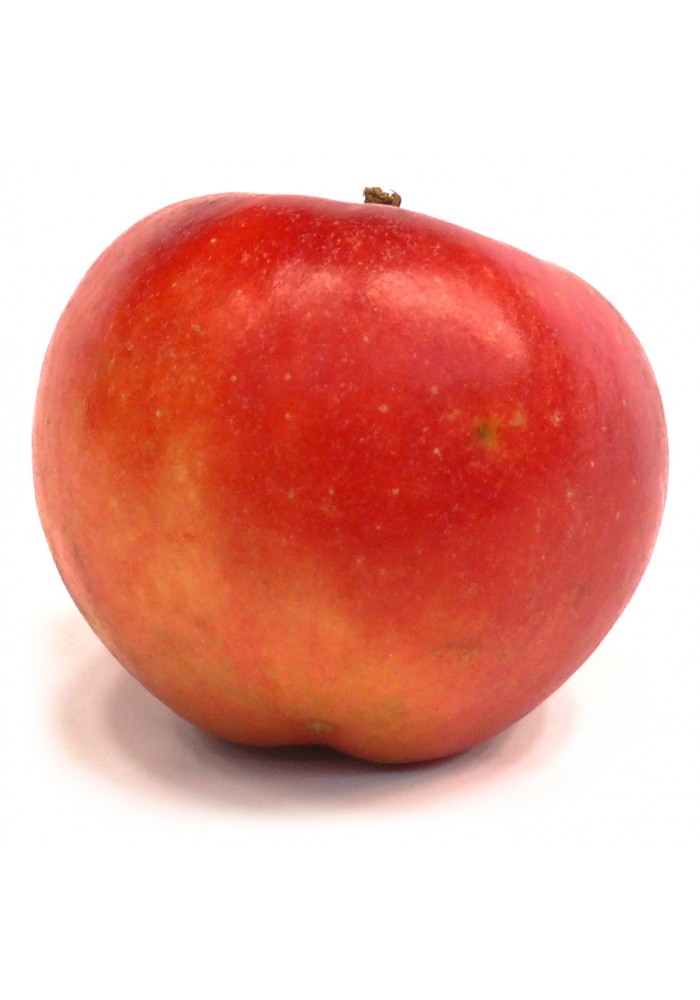 Elstar Äpfel zu dir nach Hause